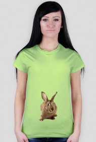 koszulka damska królik, zielona!