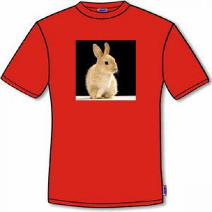 koszulka męska królik, czerwona!