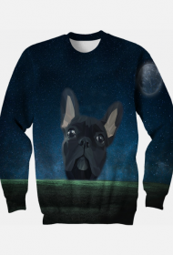 BULLDOG & STARS