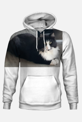 Bluza z kotem