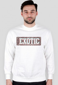 EXOTIC