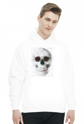 Bluza Architects of Anarchy