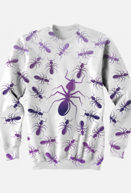 ANTS