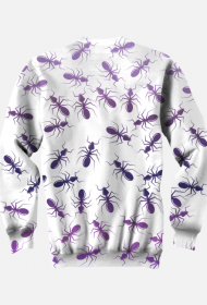 ANTS