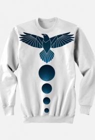 COSMIC BIRD