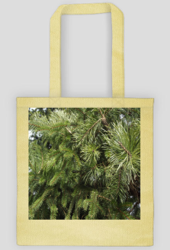 torba eco