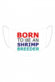 Maska Born