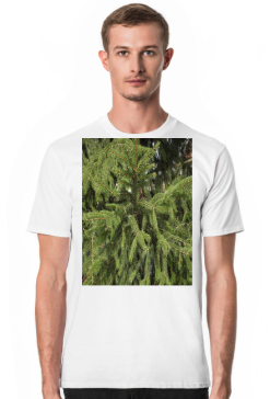 t-shirt męski premium