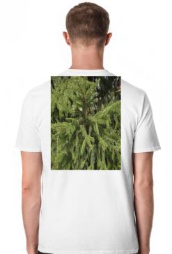 t-shirt męski premium