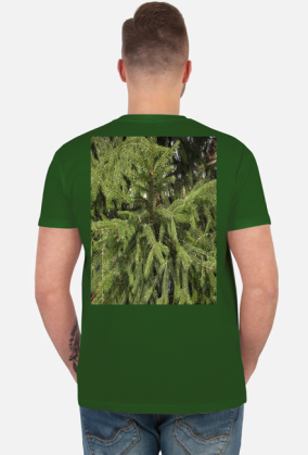 t-shirt męski premium