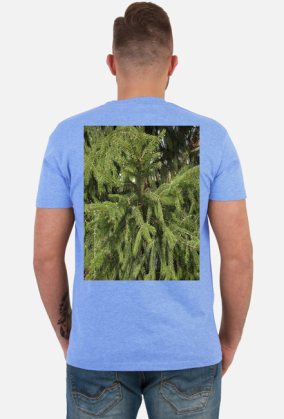 t-shirt męski premium