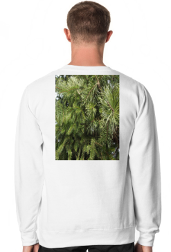 bluza męska