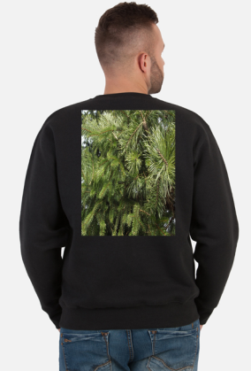 bluza męska