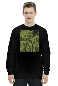 bluza męska