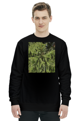 bluza męska