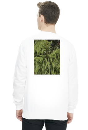 bluza męska