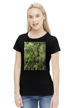 t-shirt damski premium