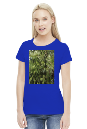 t-shirt damski premium