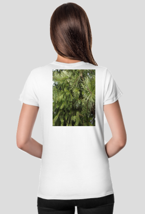 t-shirt damski premium