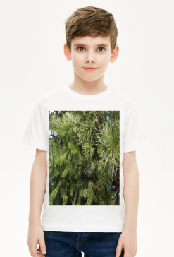 t-shirt dziecięcy