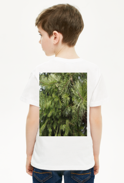 t-shirt dziecięcy