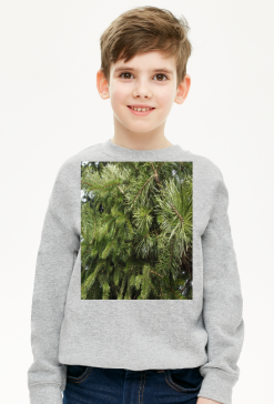 bluza dziecięca