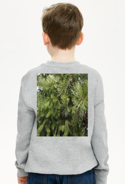 bluza dziecięca