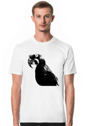 Big Bird