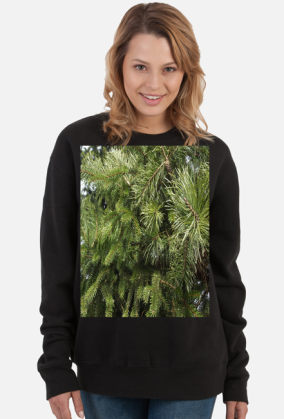bluza damska