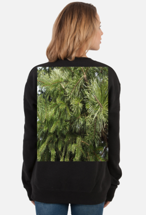 bluza damska