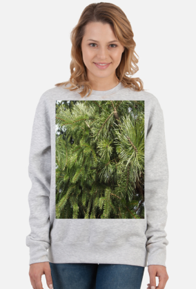 bluza damska