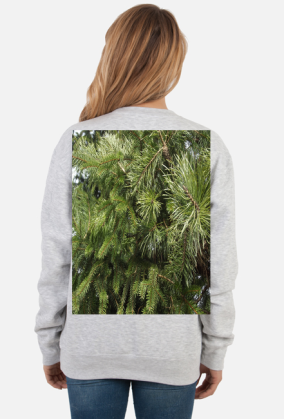 bluza damska
