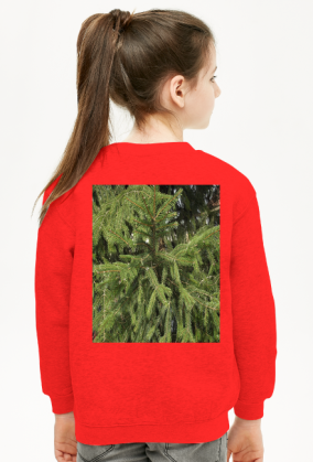 bluza dziecięca