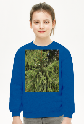 bluza dziecięca
