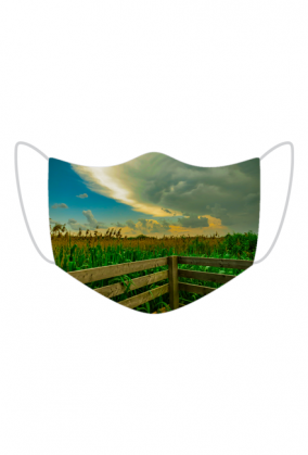 Amerykańskie pole kukurydzy