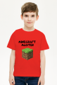 Koszulka chłopięca minecraft master