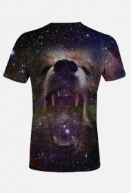 Space Bear