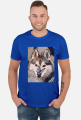 Husky