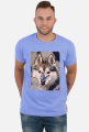 Husky