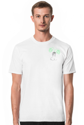 Monstera Dawida