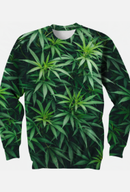 BLUZA BEZ KAPTURA MĘSKA MARRY