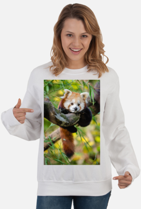 Red Panda