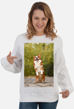 CORGI