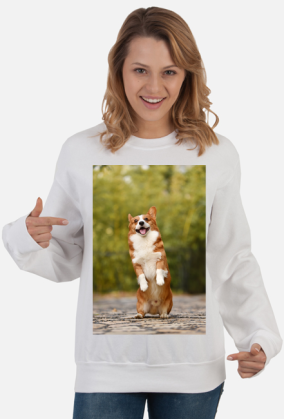 CORGI
