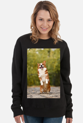 CORGI
