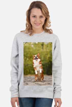 CORGI