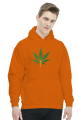 KONOPY