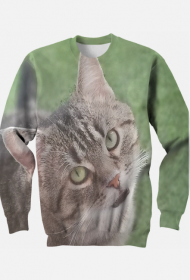 Bluza męska