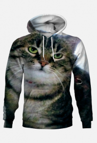 Bluza męska