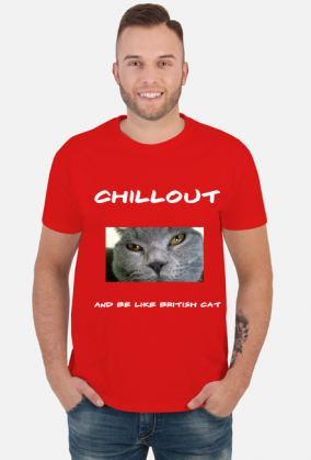koszulka kot brytyjski